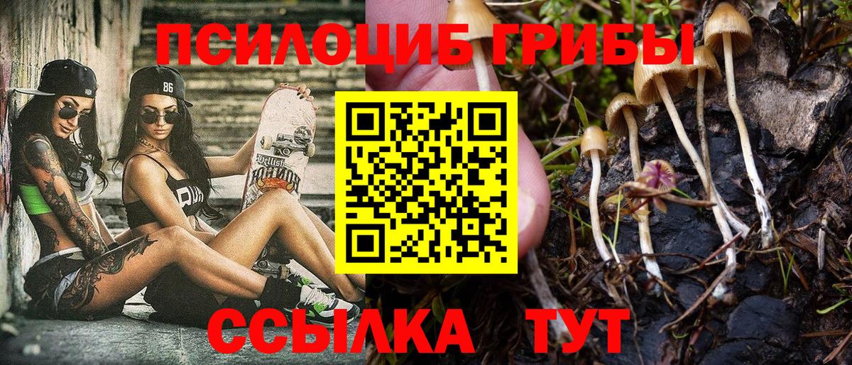Псилоцибиновые грибы MAGIC MUSHROOMS  Вход с VPN  Сертолово 